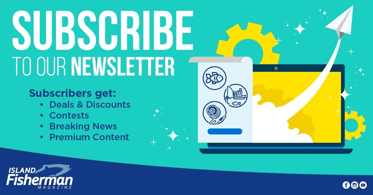 Graphic promoting newsletter subscription with a laptop displaying fishing-related icons and a rising arrow, emphasizing subscriber benefits.