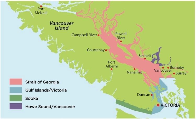 Winter Salmon Fishing: Mapping the Salish Sea Through Salmon Diets