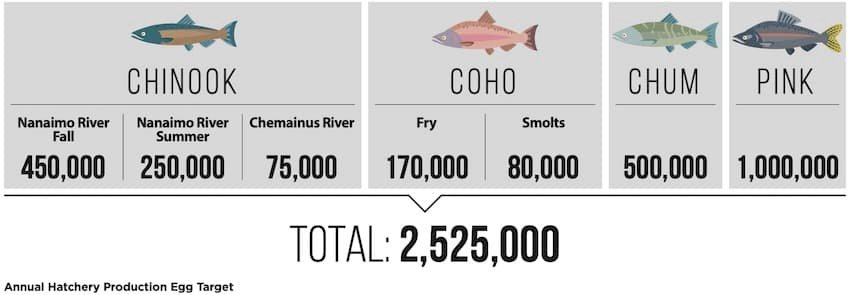 The Nanaimo River Hatchery: Spawning Days 2022 Fundraiser
