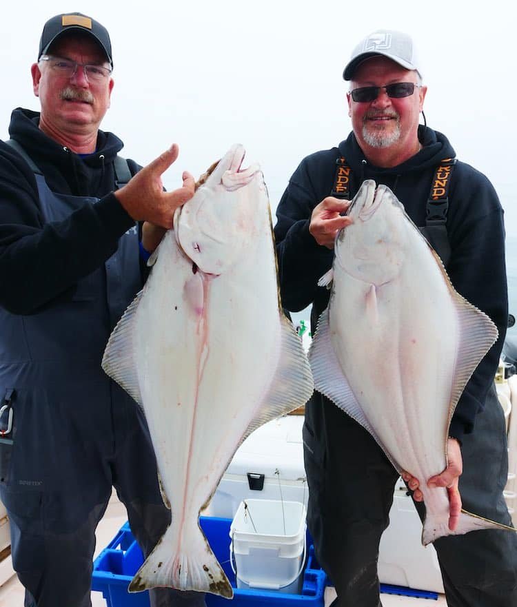 Creature Feature: Pacific Halibut