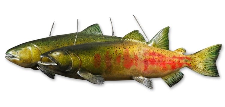 Pacific Salmon Foundation Auction & Gala Goes Virtual!