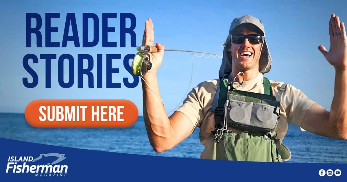 Reader Story: Bob McLachlan says, "They're out there!"