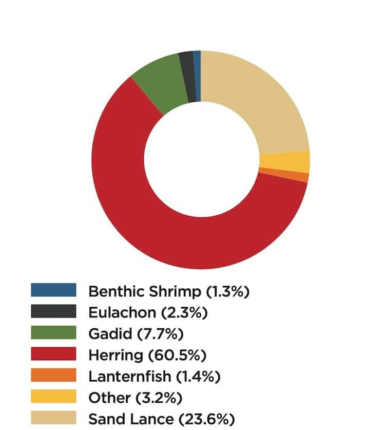 Winter Salmon Fishing: Mapping the Salish Sea Through Salmon Diets