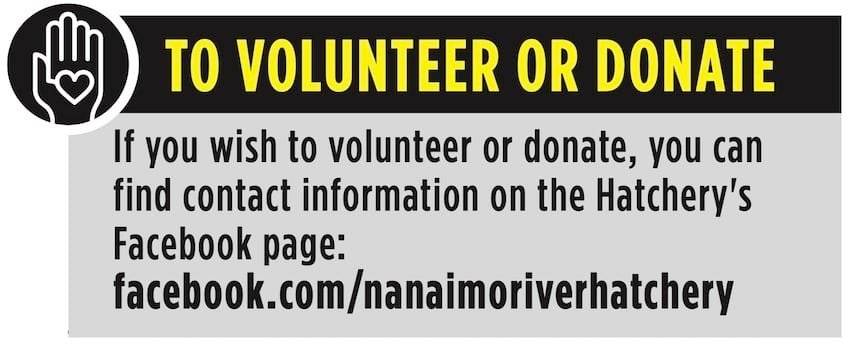 The State of the Nanaimo River Hatchery September 2020