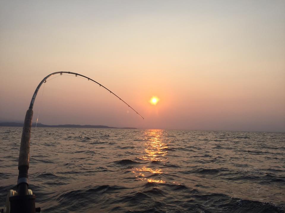 Fishing rod bent under tension with a sunset reflecting on the water surface, creating a serene fishing scene.