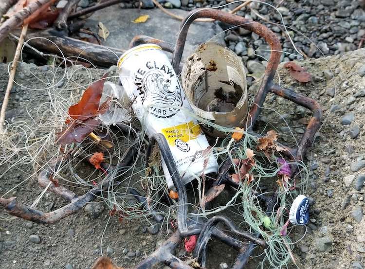 Best Practices for River Fishing on Vancouver Island