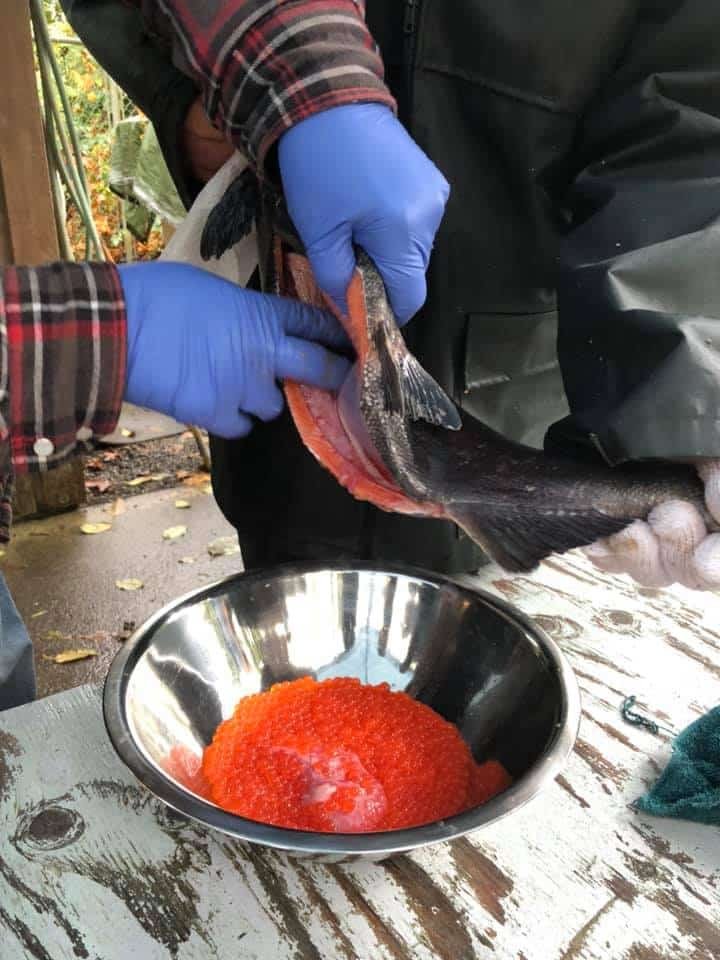 How the French Creek Tyee Club Conquered COVID-19