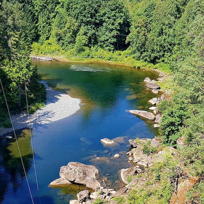 How The Quinsam River Hatchery Saved Our Pink Salmon