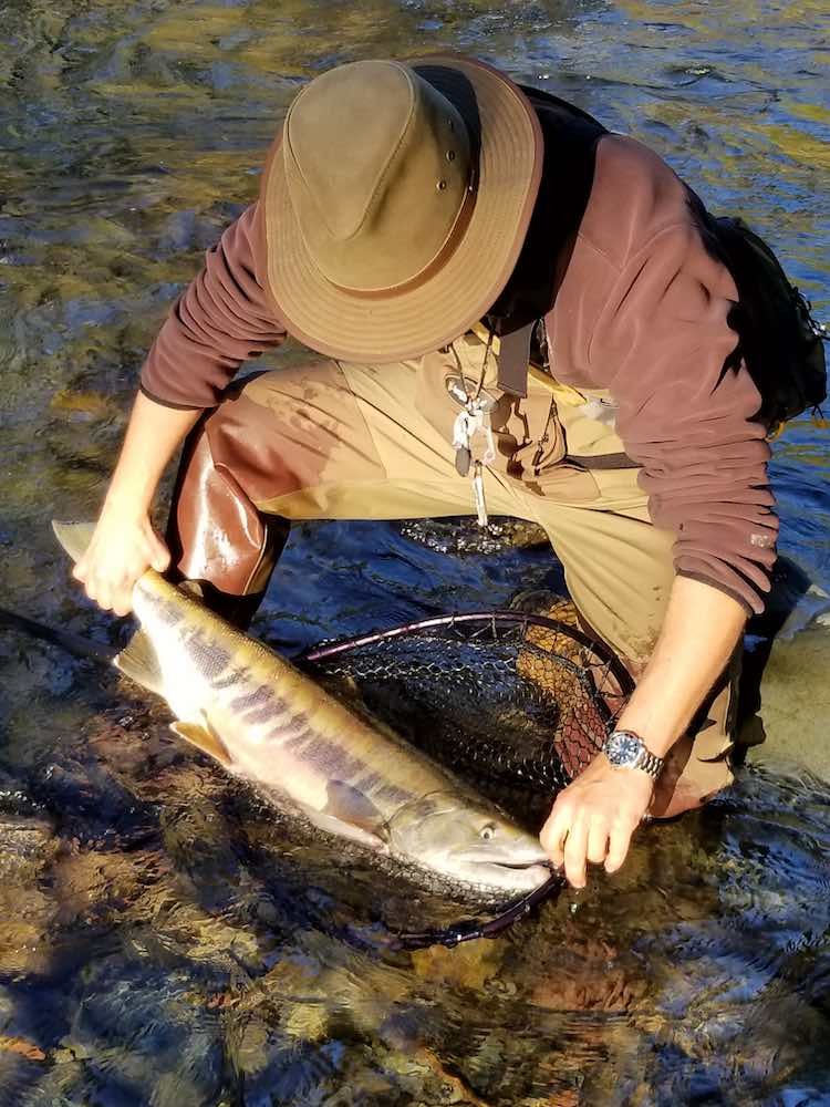 Best Practices for River Fishing on Vancouver Island