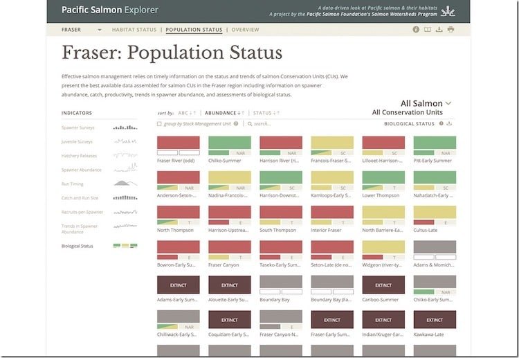 What is the Pacific Salmon Explorer (PSE)?