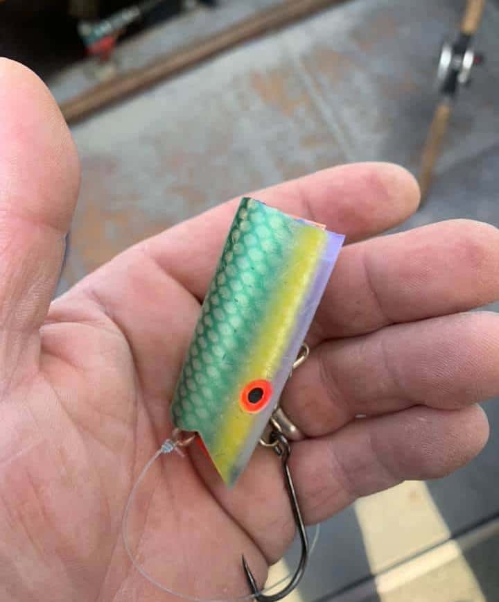 How the French Creek Tyee Club Conquered COVID-19