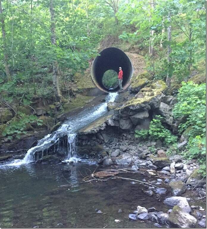 Millstream Creek Fishway Completion Means Good News for Coho Salmon