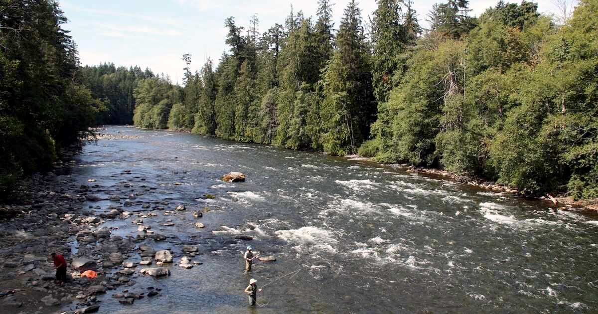 Fishing enthusiasts casting lines into a flowing river surrounded by dense greenery and rocky banks in a natural setting.