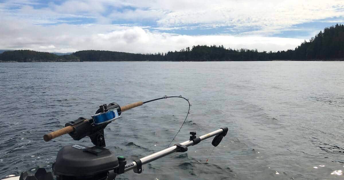 Fishing rod mounted on a downrigger, positioned over calm water with a forested shoreline in the background.