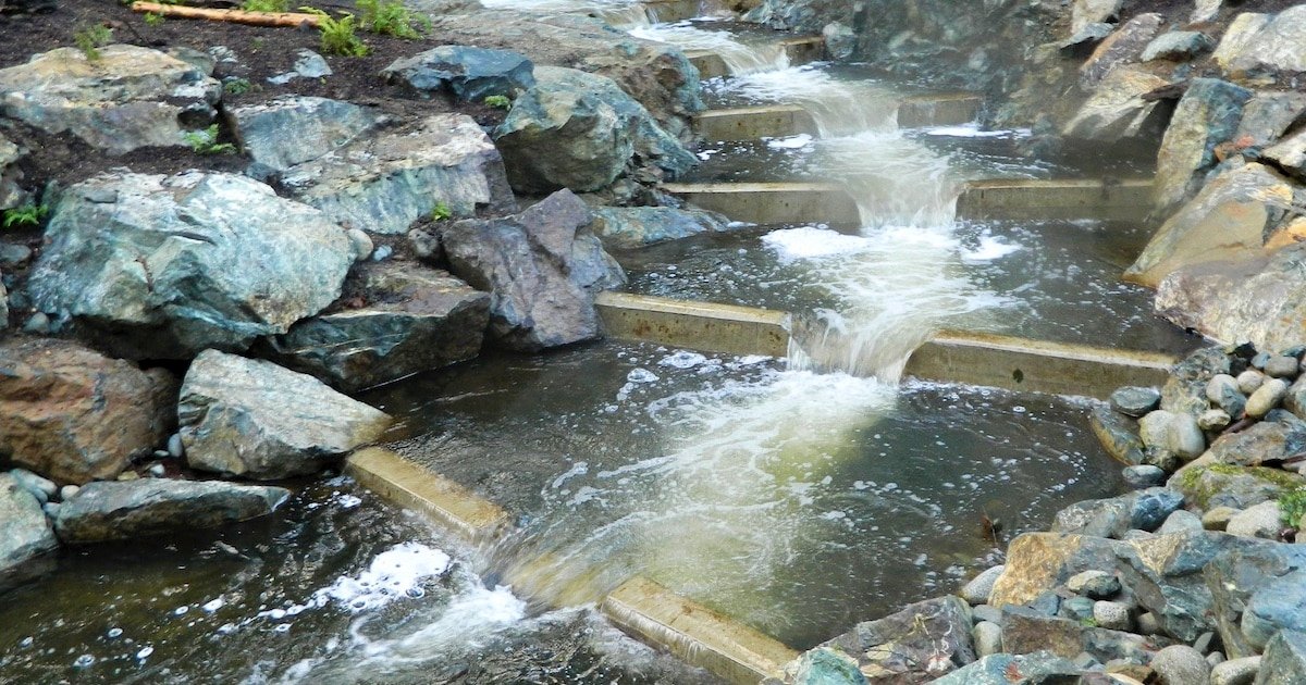 Water flowing over a series of concrete steps in a rocky stream, surrounded by natural stones and vegetation.