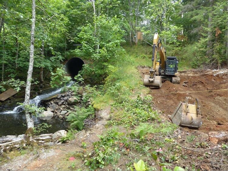 Millstream Creek Fishway Completion Means Good News for Coho Salmon