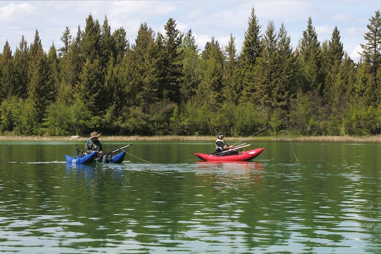 Imitating the Midges