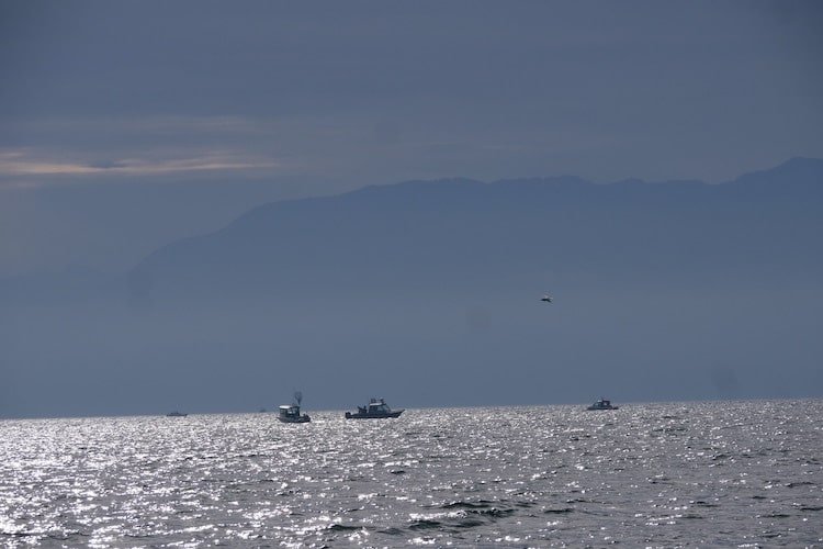 Victoria BC: A Winter Fishing Gem