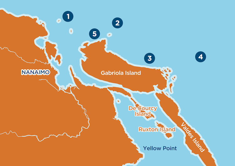 Winter Chinook Fishing In Nanaimo And Gabriola