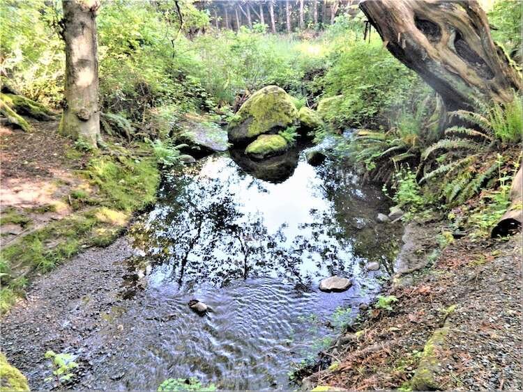 Exposing the Unintended Consequences of Chinook Non-Retention