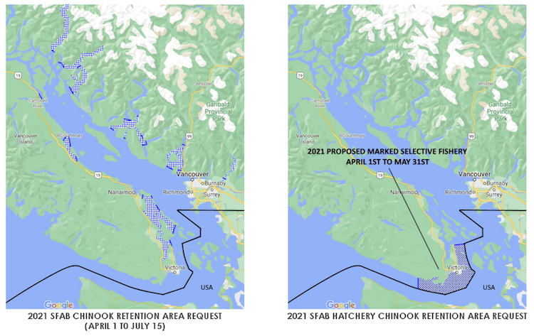 OP-ED: BC Anglers Anxiously Await 2021 Chinook Regulation Announcement