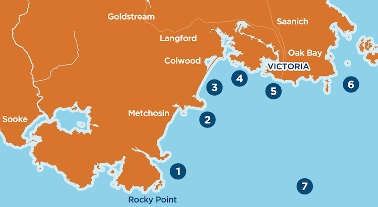 Winter Fishing For Feeder Chinook in Victoria BC