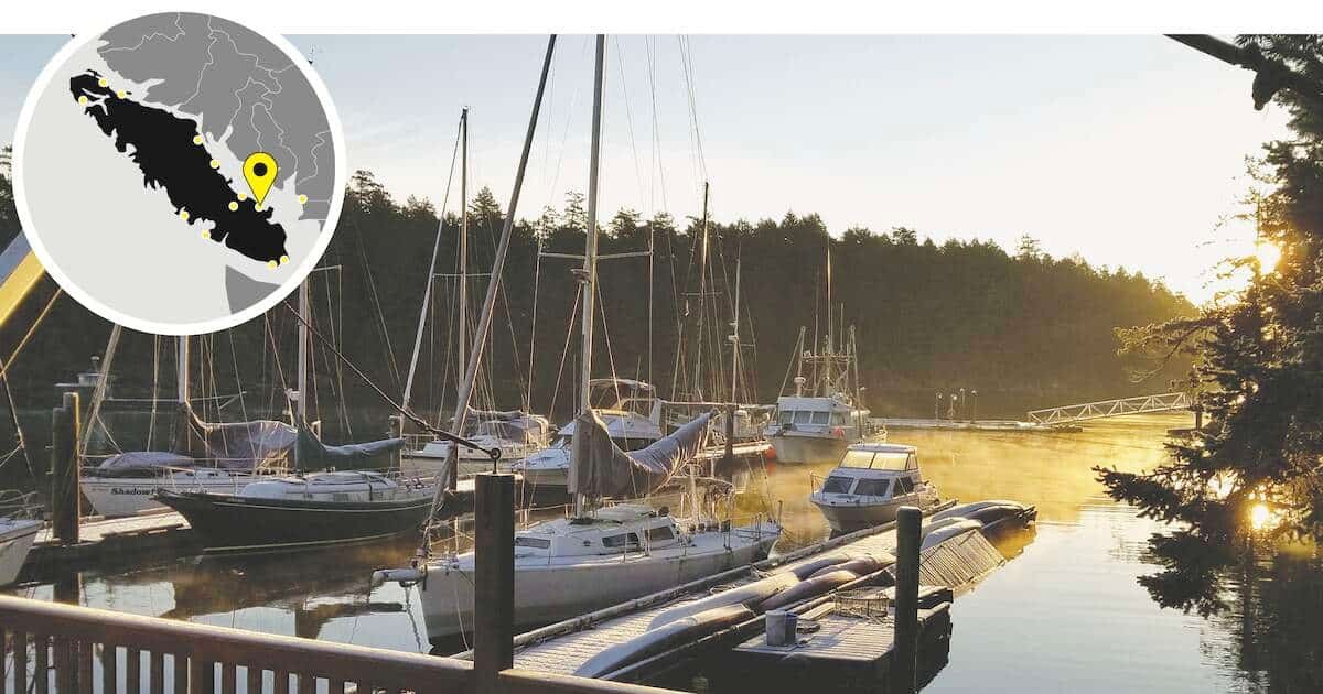 Marina with several boats docked at sunrise, surrounded by trees and mist on the water.