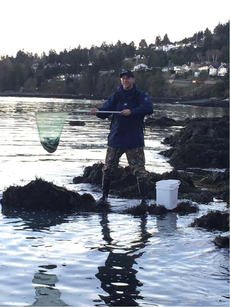Springtime is Herring Season