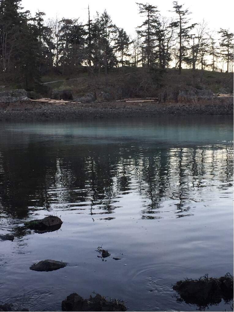 Springtime is Herring Season