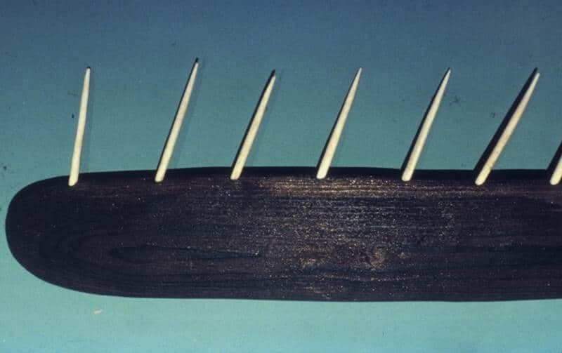 Springtime is Herring Season