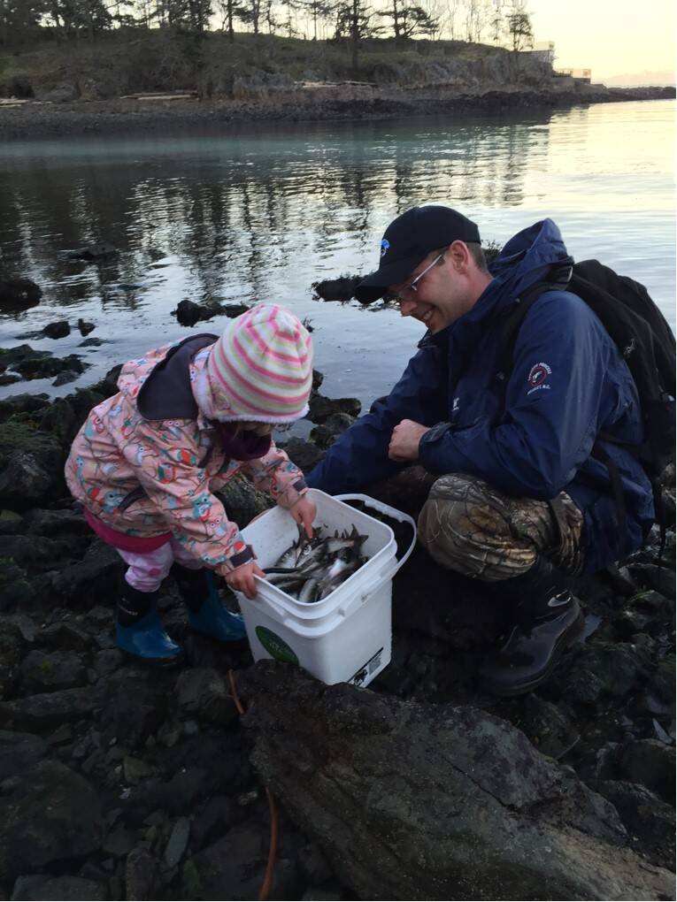 Springtime is Herring Season