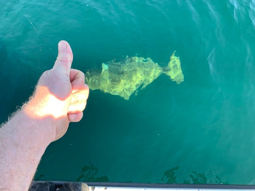 Reader Story: Fish-On Fantastic!