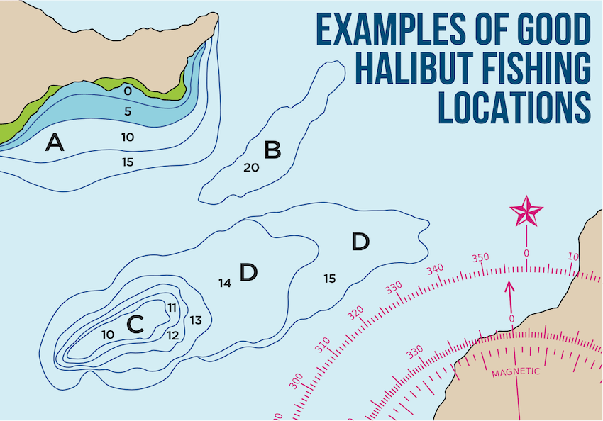 Map showing how to find halibut on gradual slopes, gullies, banks, and flats