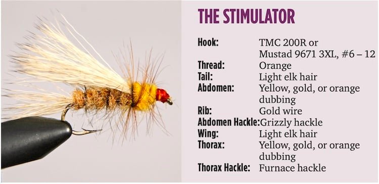 Imitating The Stoneflies