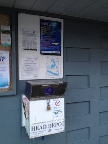 Sport Fish Data: How Catch Reporting and Biosampling Works