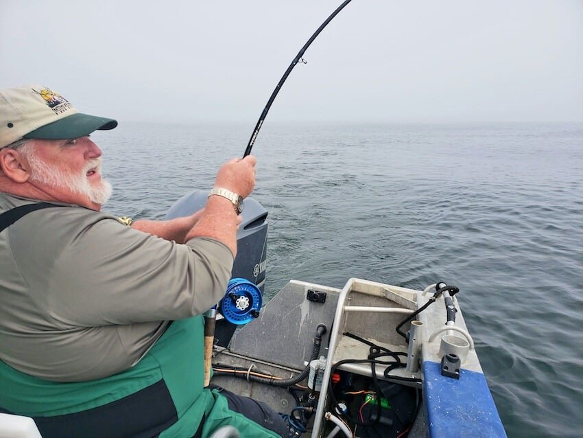 Reader Story: Bob McLachlan says, "They're out there!"