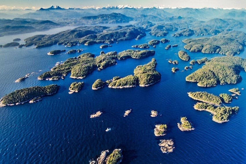 Broughton Archipelago Coho