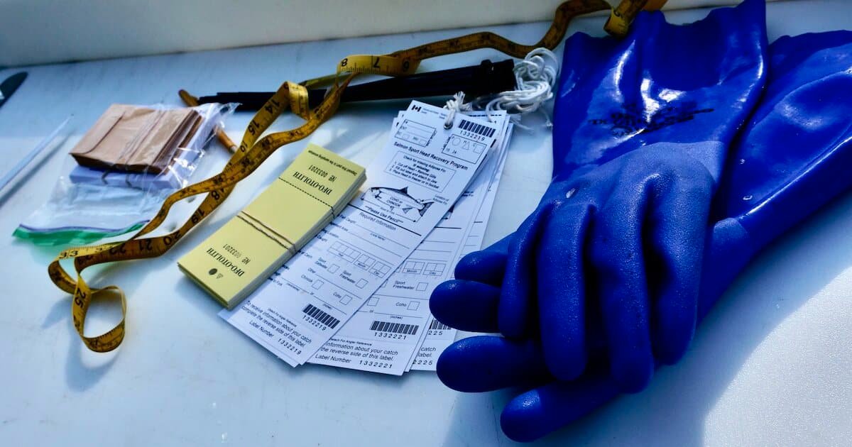 Blue rubber gloves placed next to catch reporting forms, measuring tape, and other fishing documentation on a flat surface.
