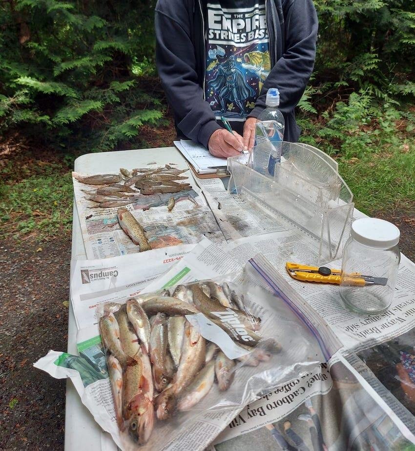 Hundreds of Fish Dead in Reay Creek: A Preventable Tragedy