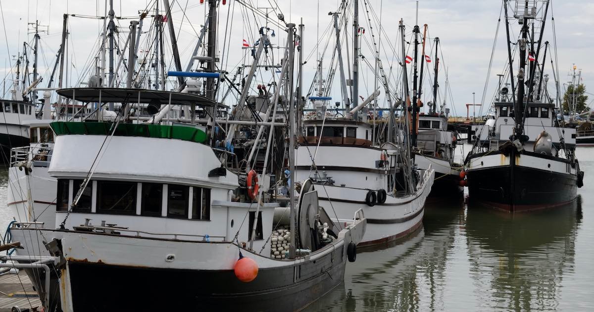 Commercial fishing boats docked at a harbor in British Columbia, Canada, with various fishing gear visible on board.