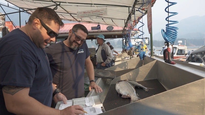 Sport Fish Data: How Catch Reporting and Biosampling Works