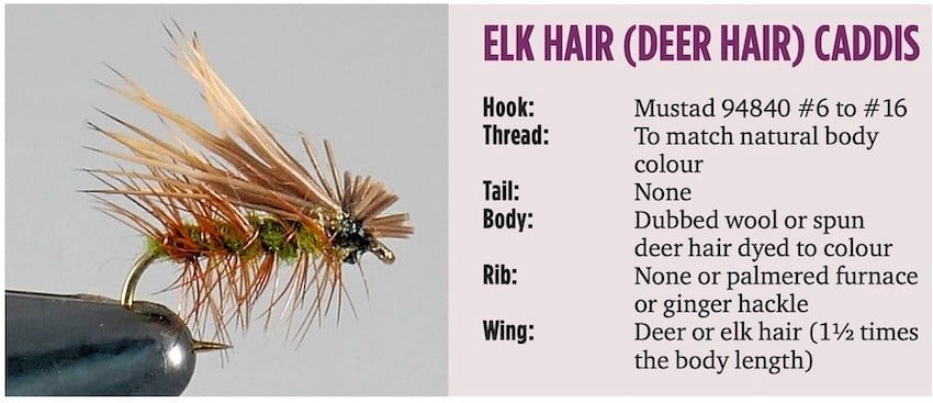 Imitating the Caddisflies