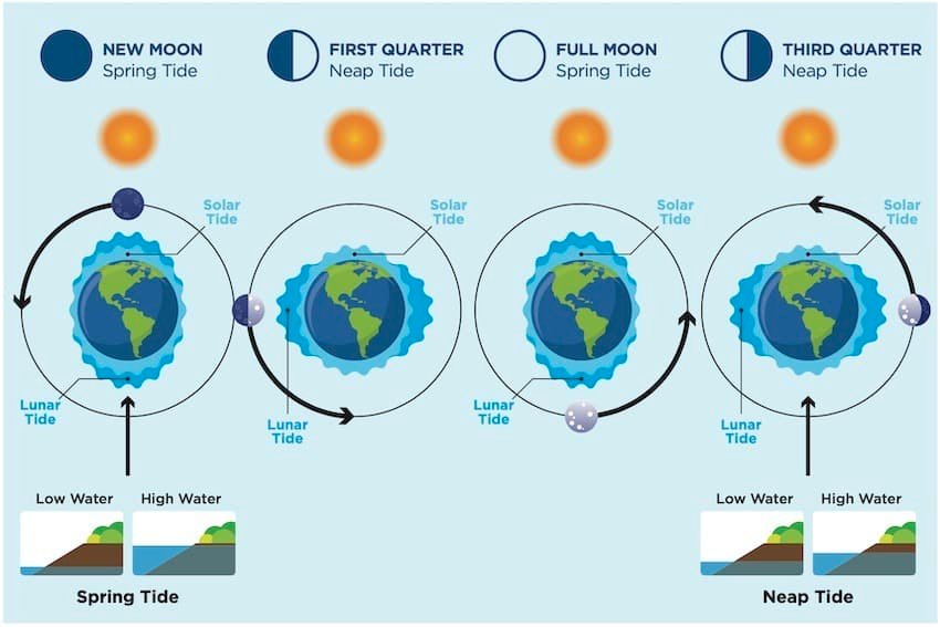How the Moon Affects Fishing: Solunar Fishing Tables