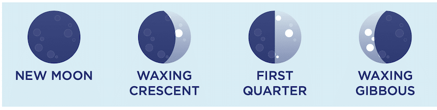 How the Moon Affects Fishing: Solunar Fishing Tables