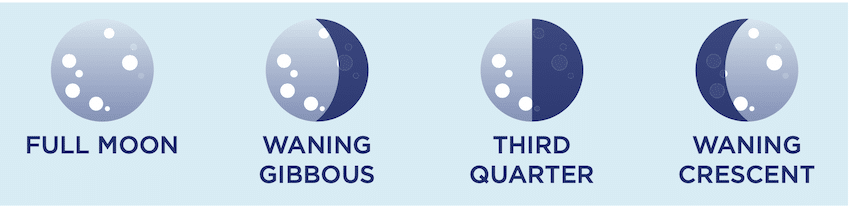 How the Moon Affects Fishing: Solunar Fishing Tables