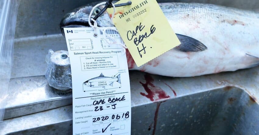 Sport Fish Data: How Catch Reporting and Biosampling Works