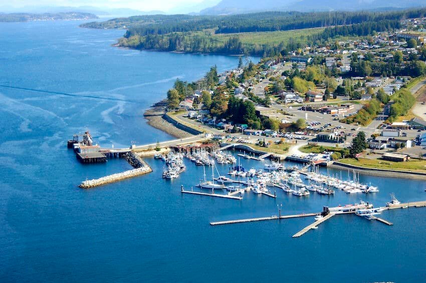 Broughton Archipelago Coho