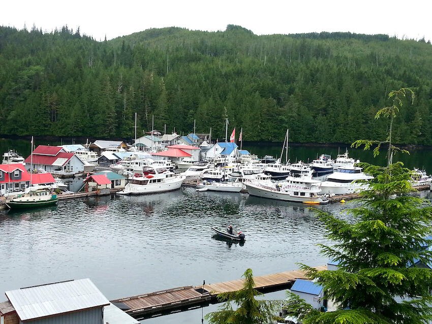 Broughton Archipelago Coho