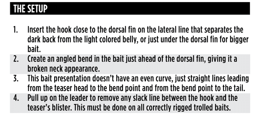 Roll Them Right: Bait Trolling Tips