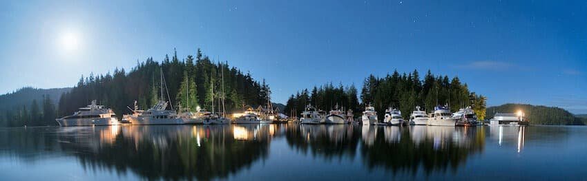 Broughton Archipelago Coho